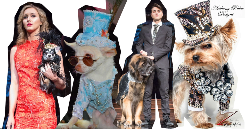 Anthony Rubio Designs - Dog Fashion